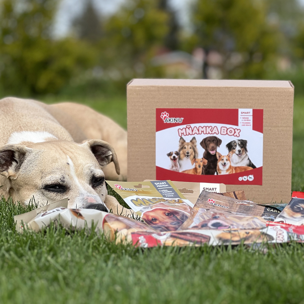 Akinu Mňamka box pro psy Obrázek