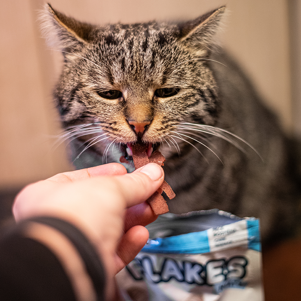 Akinu Mňamka box pro kočky Obrázek