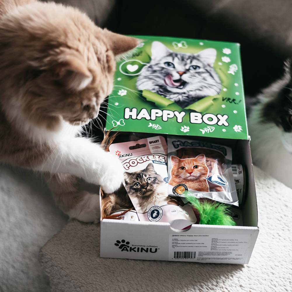 Akinu Happy box pro kočku Obrázek
