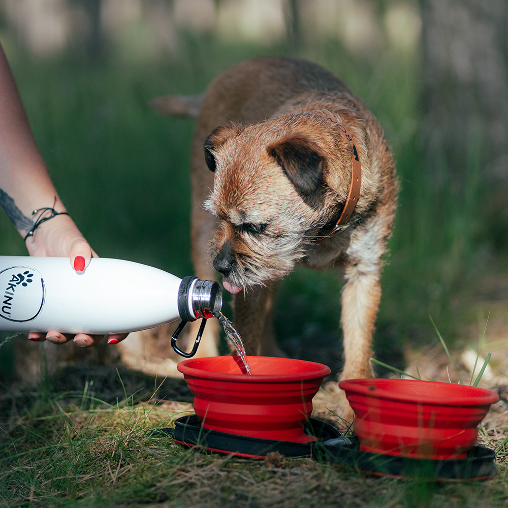 Akinu ČESKÝ LES miska cestovnÍ 2x350ml Barva: Červená Obrázek