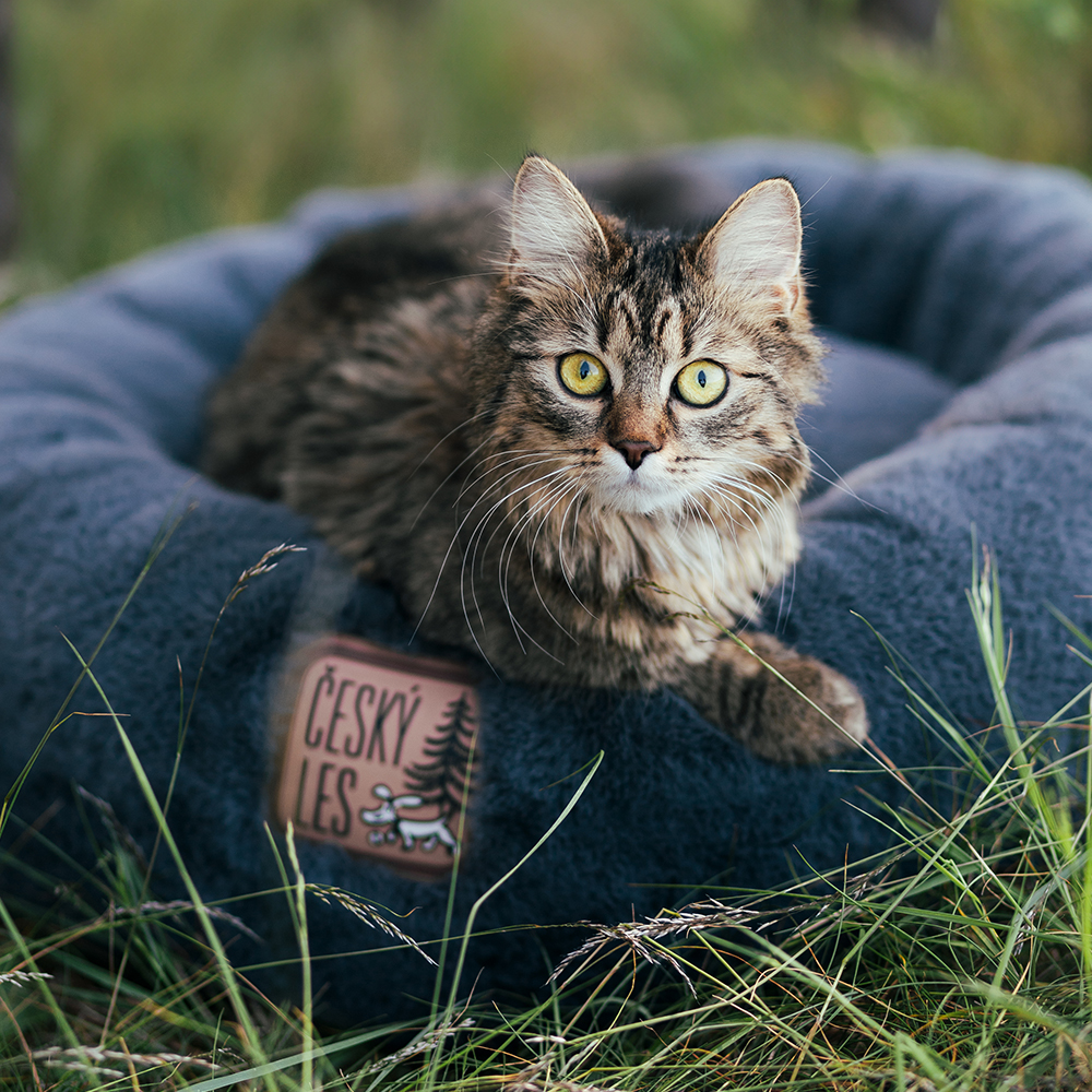 Akinu ČESKÝ LES plyšový donut XS 45 cm Barva: Béžová Obrázek