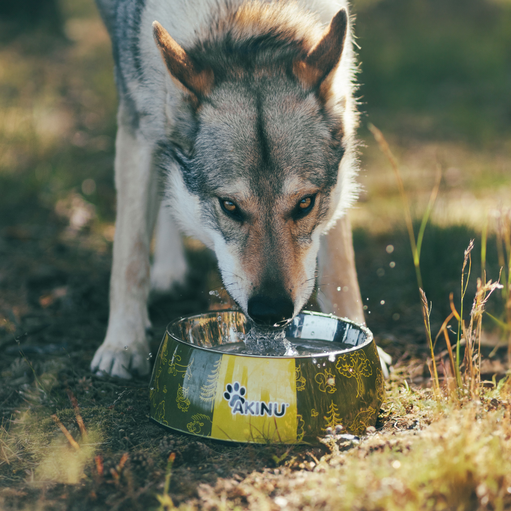 Akinu ČESKÝ LES melaminová miska s nerez vložkou L 1200ml Barva: Červená Obrázek
