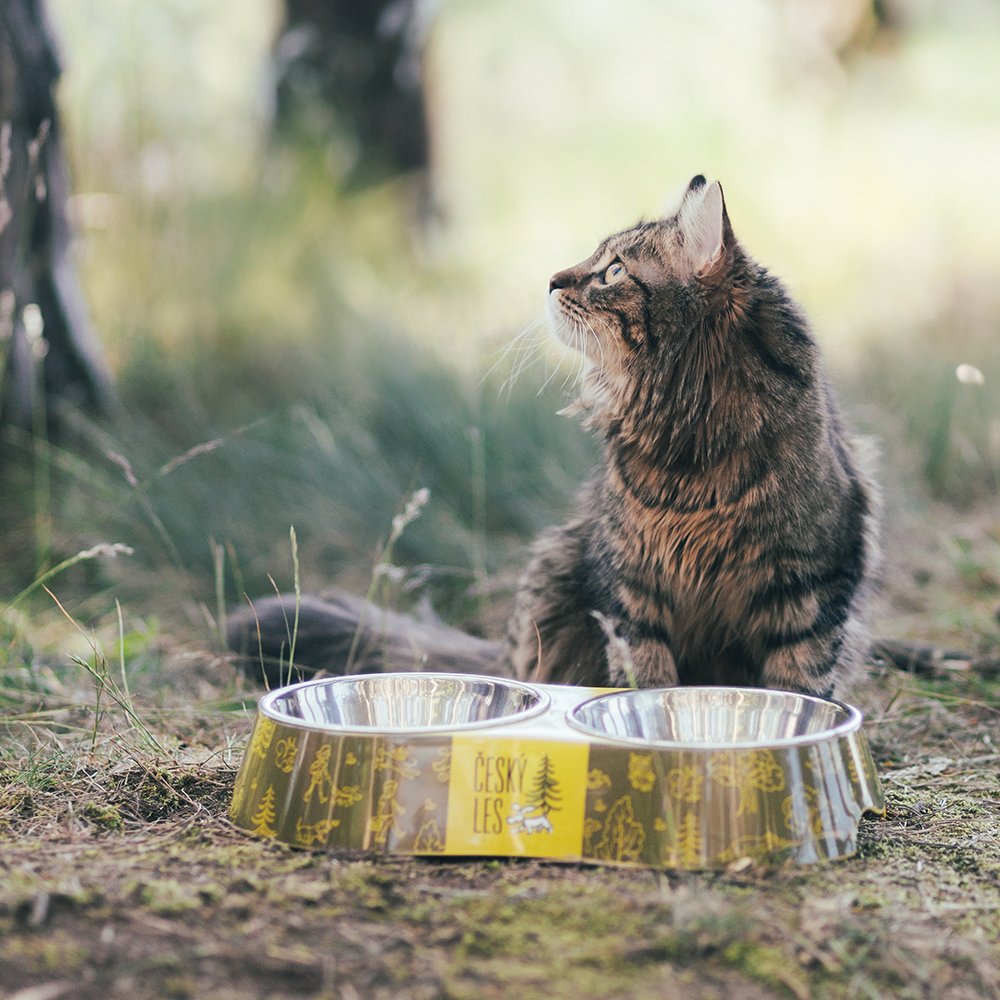 Akinu ČESKÝ LES melaminová miska s nerez vložkou M 2x400ml Barva: Červená Obrázek