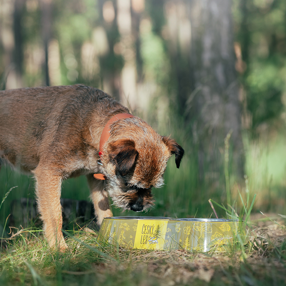 Akinu ČESKÝ LES melaminová miska s nerez vložkou M 2x400ml Barva: Červená Obrázek