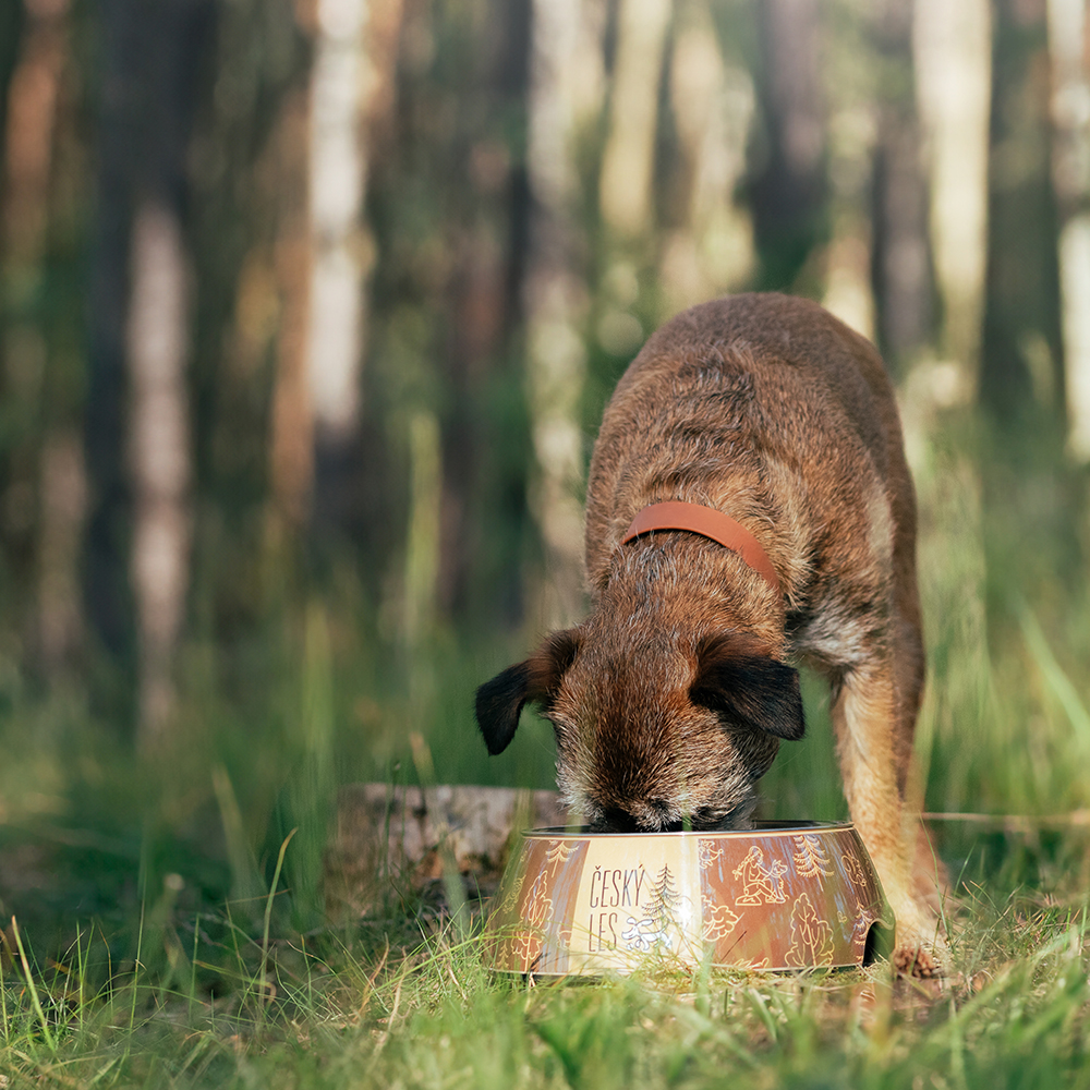 Akinu ČESKÝ LES melaminová miska s nerez vložkou M 800ml Barva: Modrá Obrázek