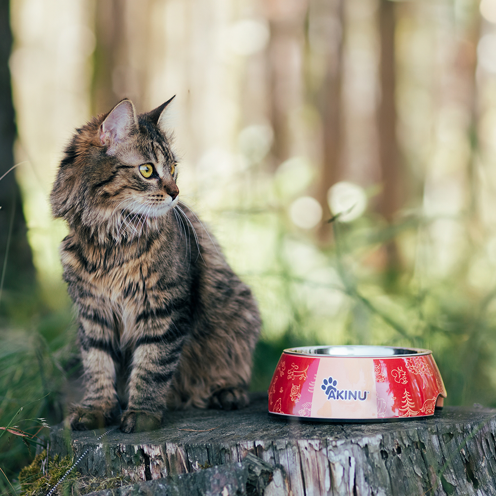 Akinu ČESKÝ LES melaminová miska s nerez vložkou S 400ml Barva: Červená Obrázek