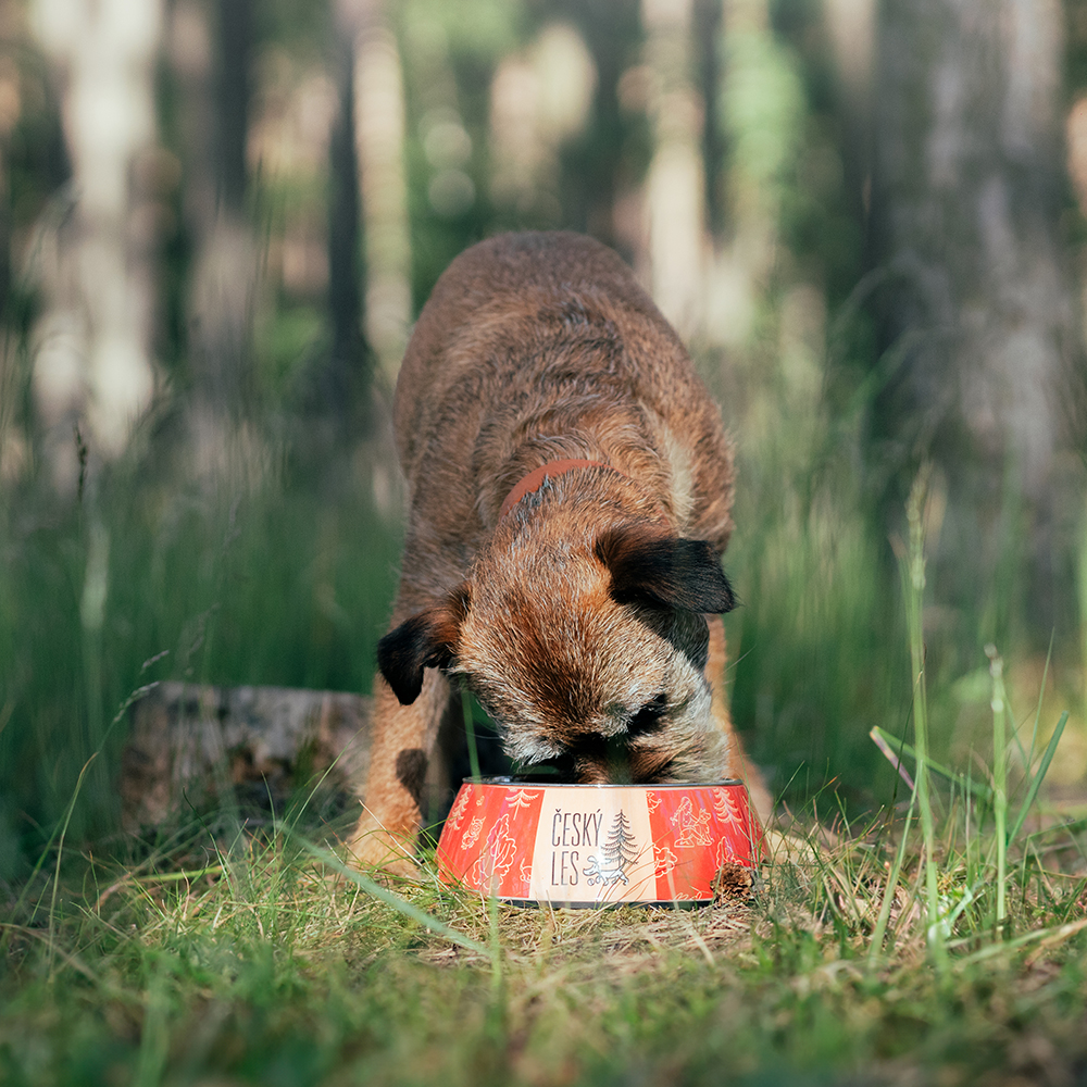Akinu ČESKÝ LES melaminová miska s nerez vložkou S 400ml Barva: Červená Obrázek