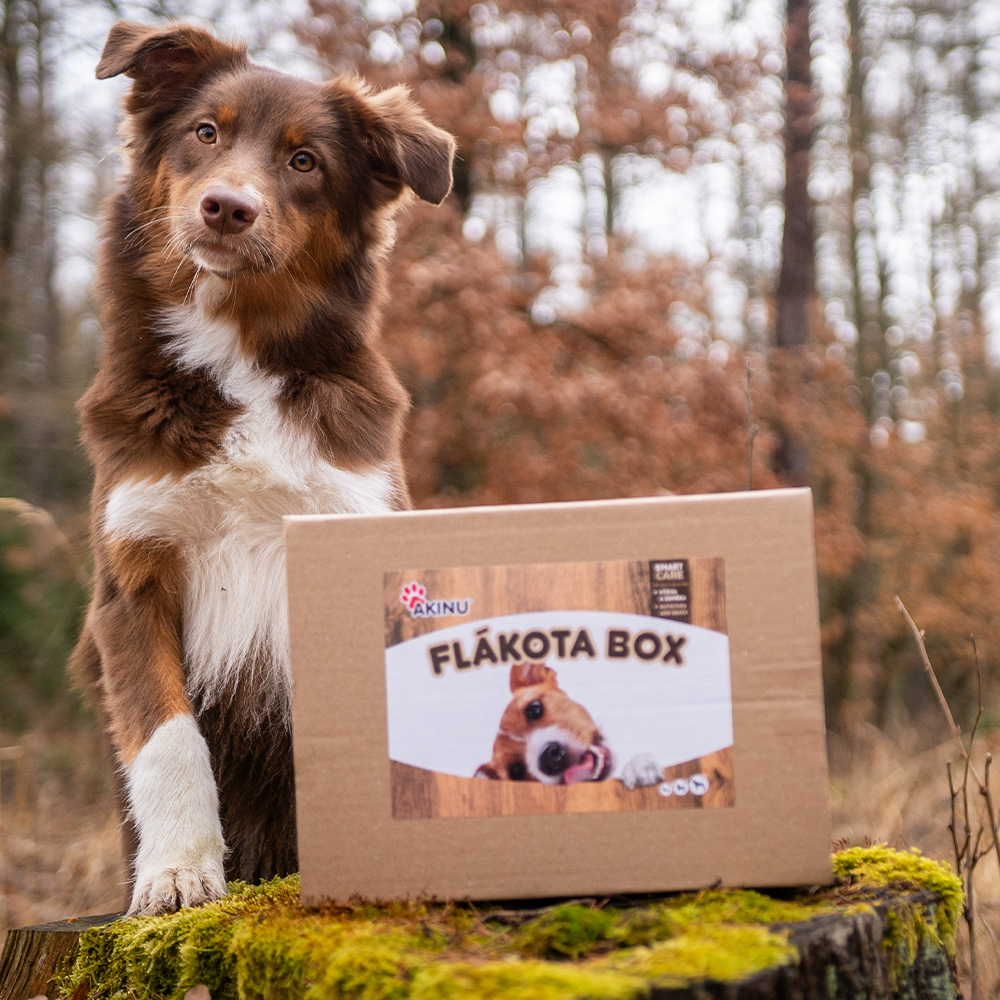 Akinu Flákota box pro psy Obrázek