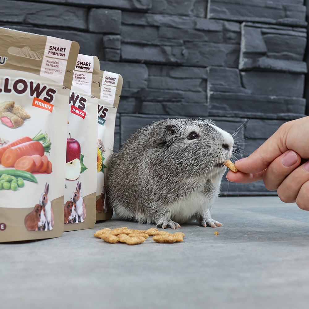 Akinu Happy box pro hlodavce Obrázek