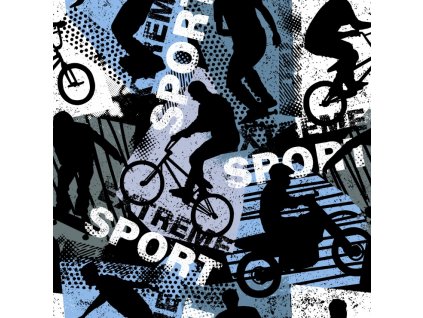 Sport