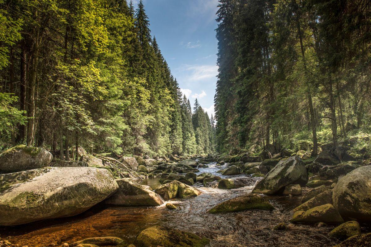 5 nejoblíbenějších národních parků v Česku