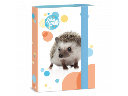 Box na sešity Cute Animals ježek A5