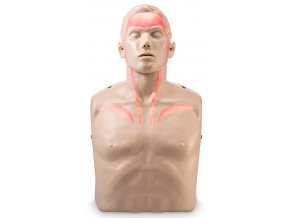 Resuscitační figurína dospělého Brayden s vizualizací průtoku krve