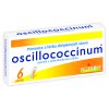 Oscillococcinum 6 L 2019 10