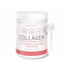 Kolagen + Hyaluron WOLDOHEALTH, 500 g