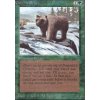 Grizzly Bears (Foil NE, Stav Near Mint)