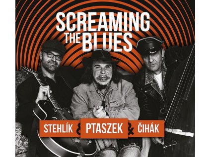 ptaszek screaming the blues
