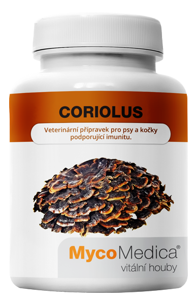 MycoMedica Coriolus 90 rostlinných tablet Obrázek