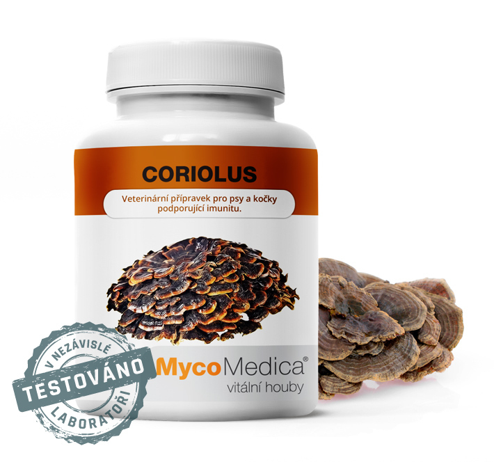 MycoMedica Coriolus 90 rostlinných tablet Obrázek