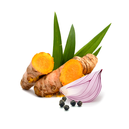 MycoMedica Curcumin v optimální koncentraci 120 tablet Obrázek