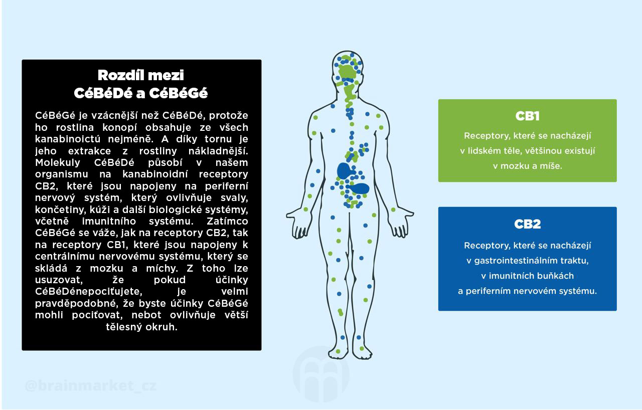 BrainMax CéBéGé & CéBéDé synergy 10%, éterický olej, 10 ml Obrázek