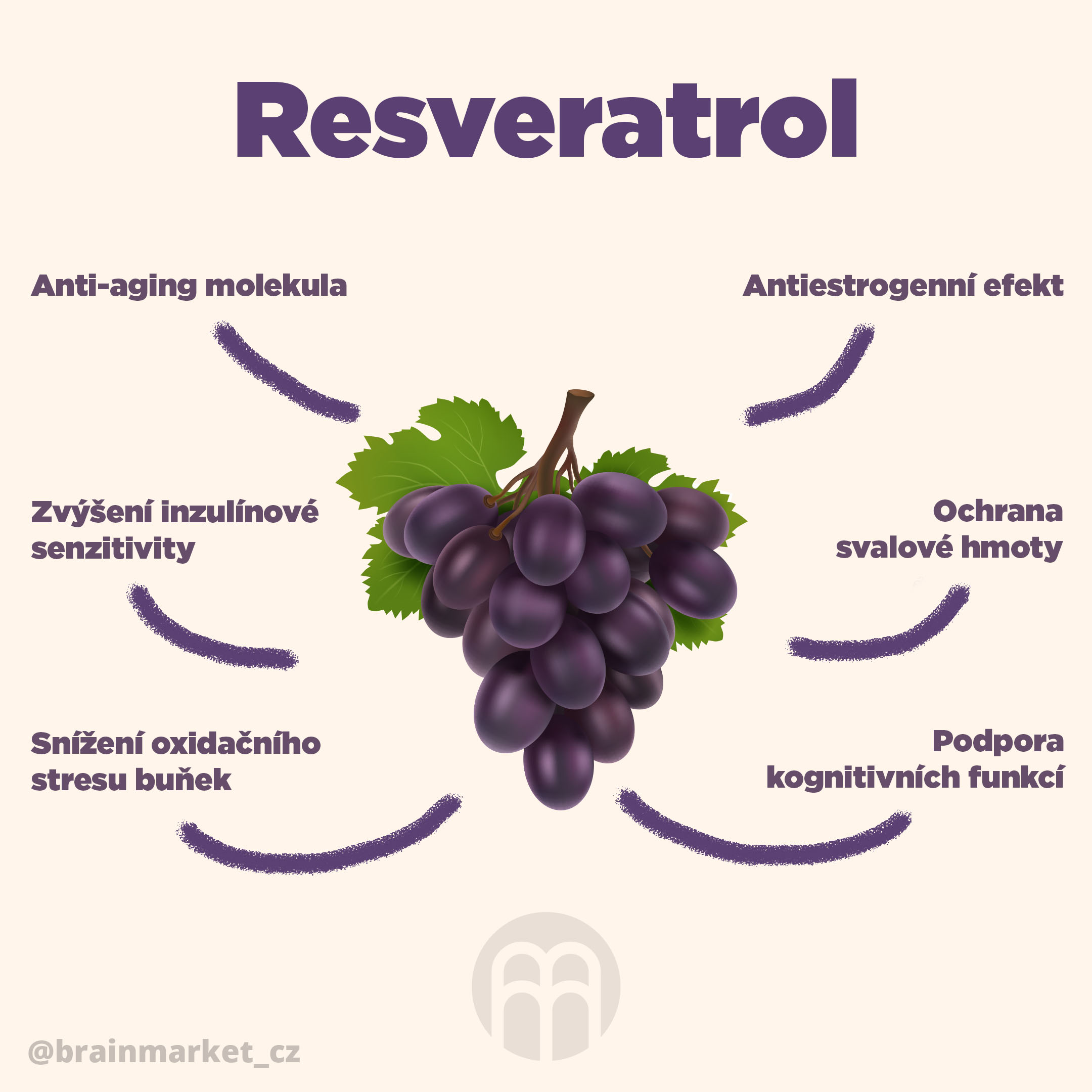 Hansen Trans-Resveratrol, prášek, 50g Obrázek
