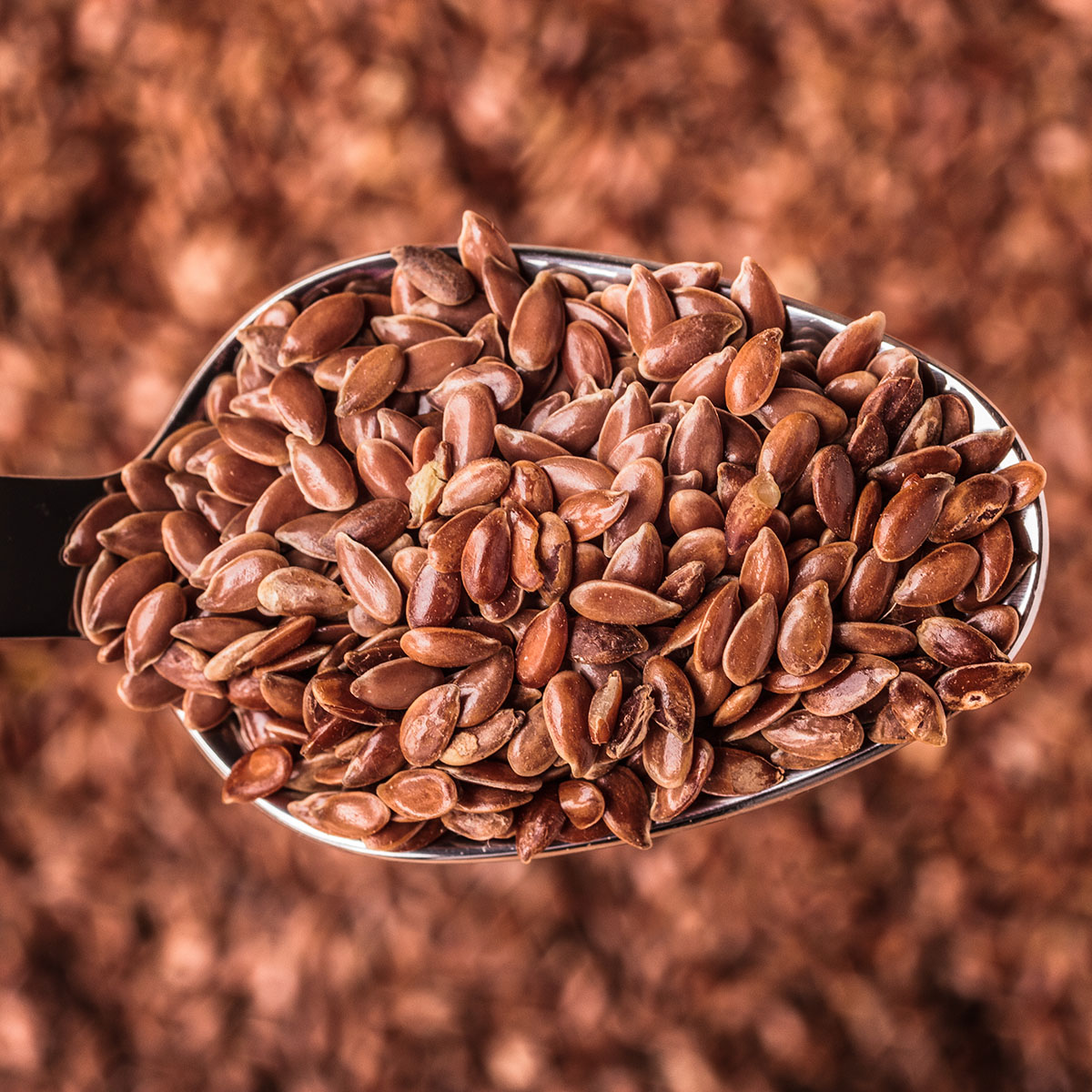 BrainMax Pure Lněné semínko (hnědé) BIO, 500 g Obrázek