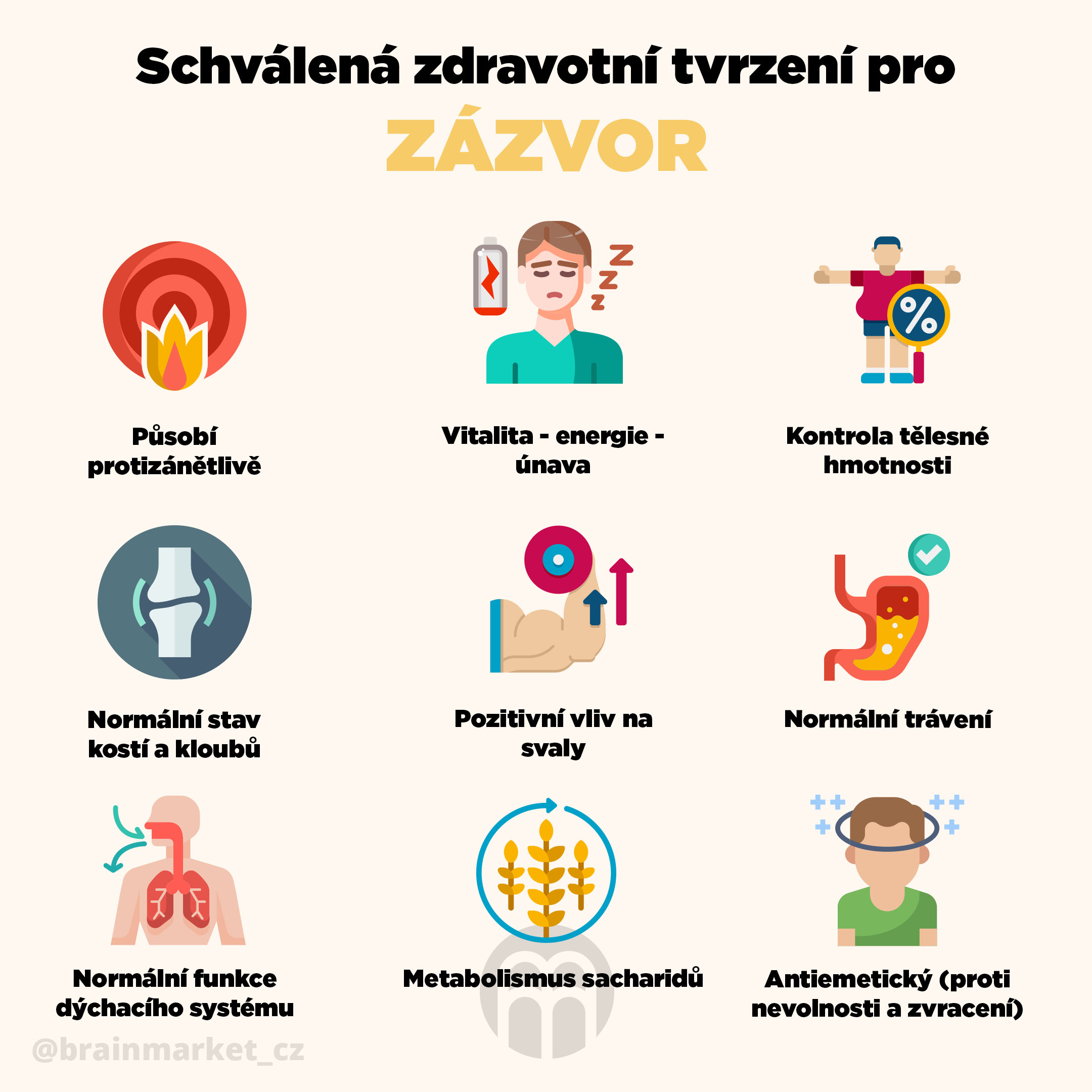 BrainMax Digestive Magic, Trávicí Enzymy, 100 rostlinných kapslí Obrázek