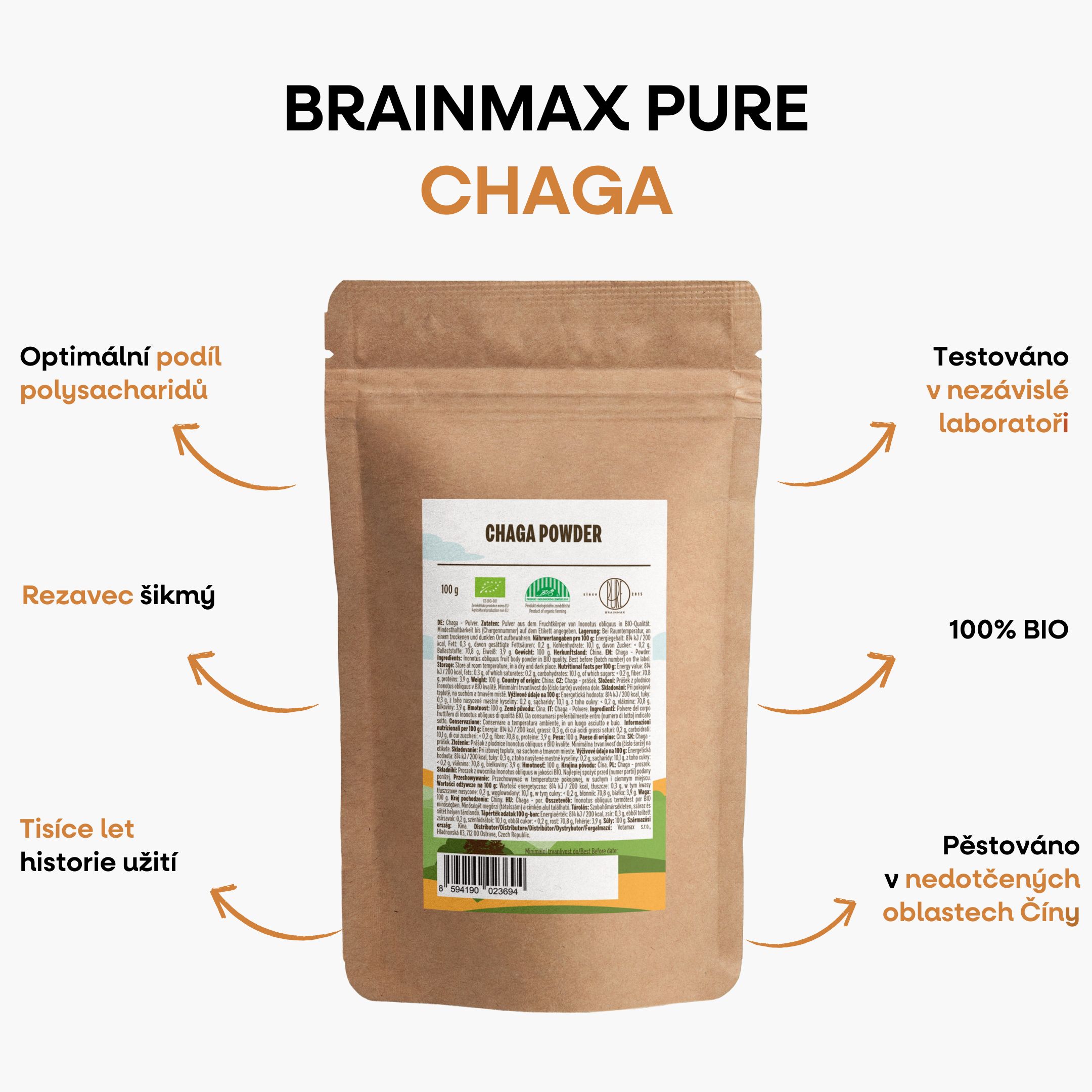 BrainMax Pure Chaga prášek, BIO 100g Obrázek