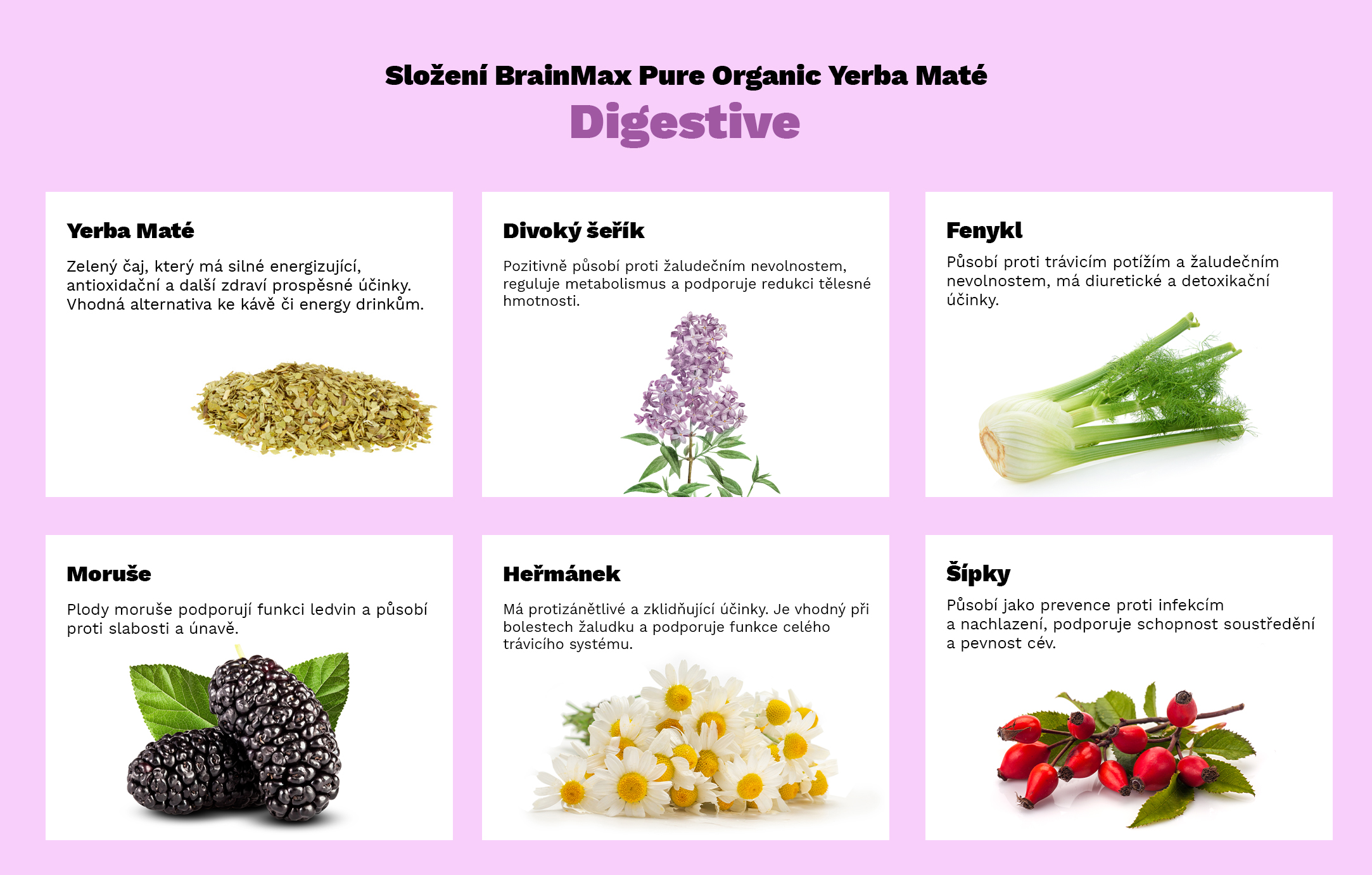 BrainMax Pure Yerba Maté, Digestive, 500 g Obrázek