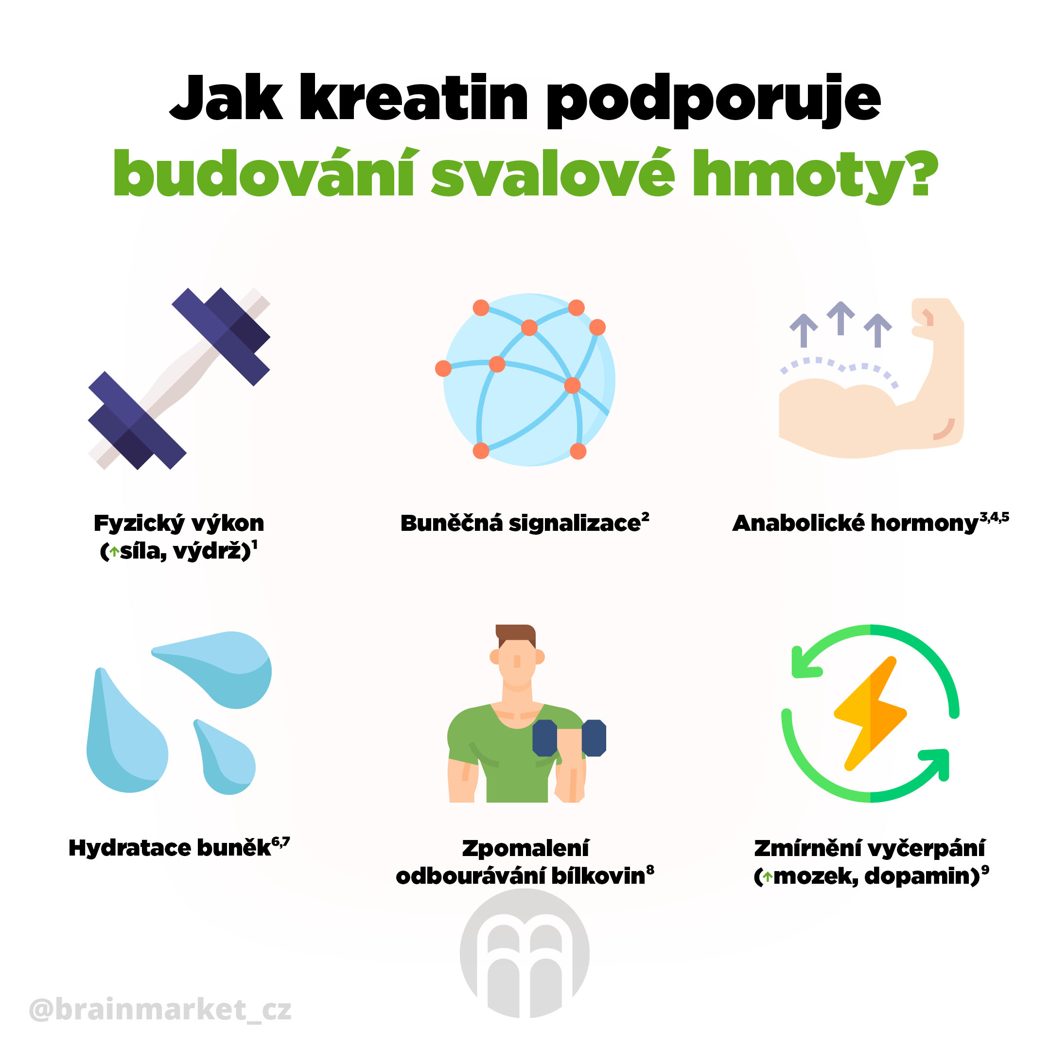 BrainMax Creatine (Creapure®), Kreatin monohydrát, 500 g Obrázek