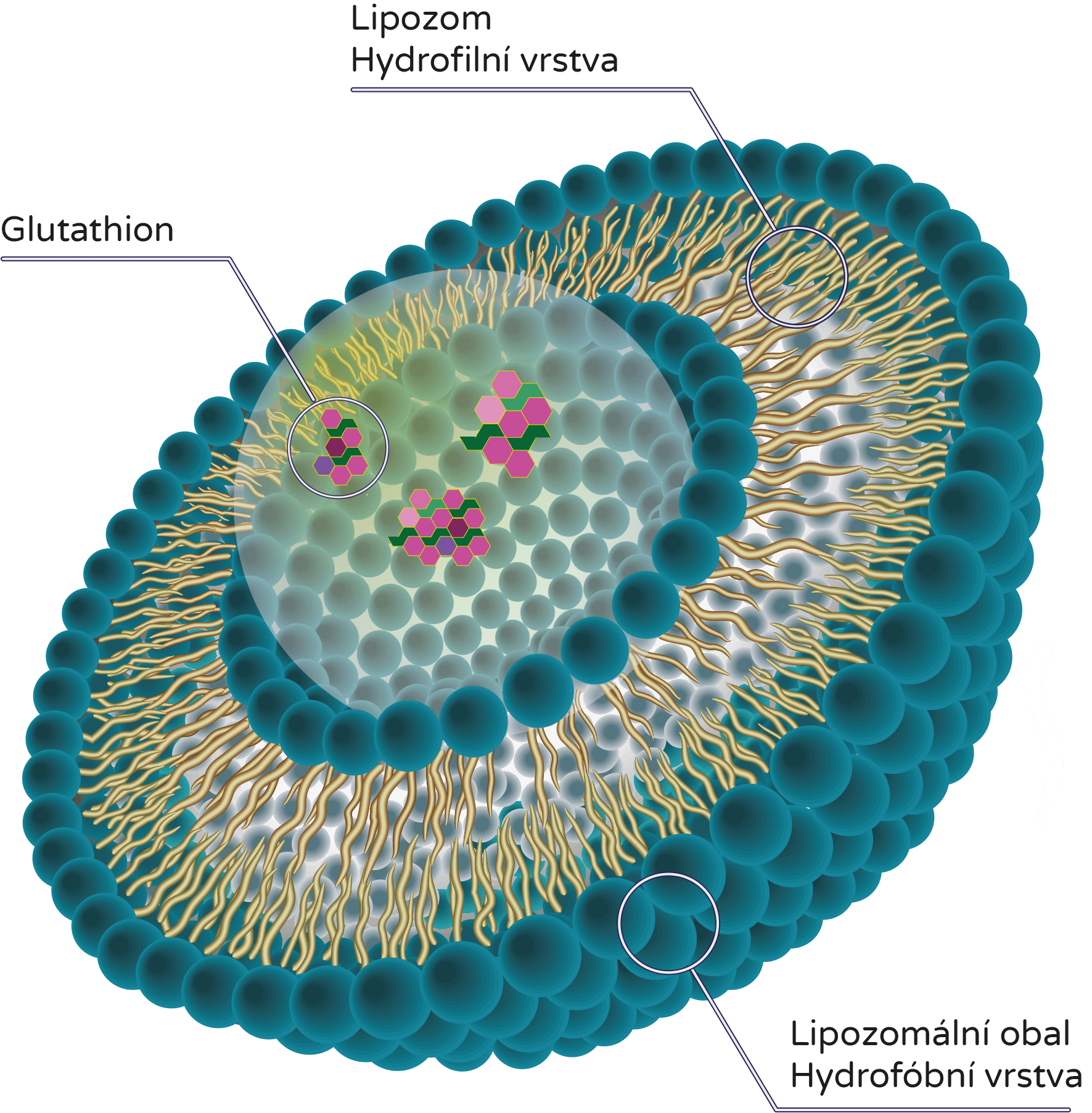 BrainMax Liposomal Glutathione, Tekutý lipozomální Glutathion, 200 ml Obrázek