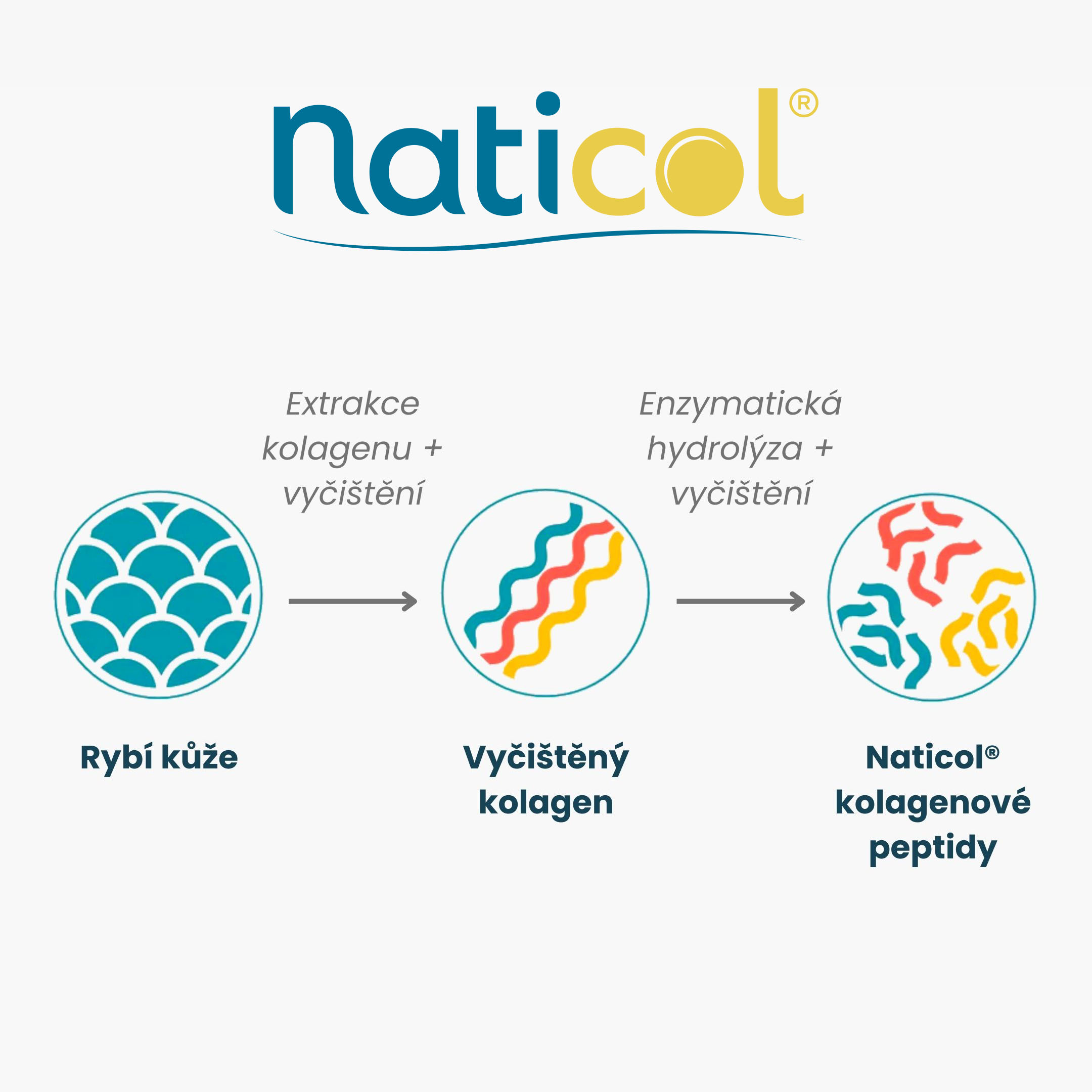 BrainMax Women Beauty Fish Collagen, mořský rybí kolagen Naticol®, 250 g Příchuť: Lesní jahoda Obrázek