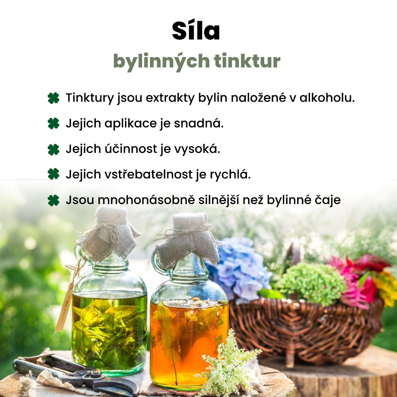 BrainMax Pure Tribulus, Kotvičník zemní, tinktura 1:3, 100 ml Obrázek