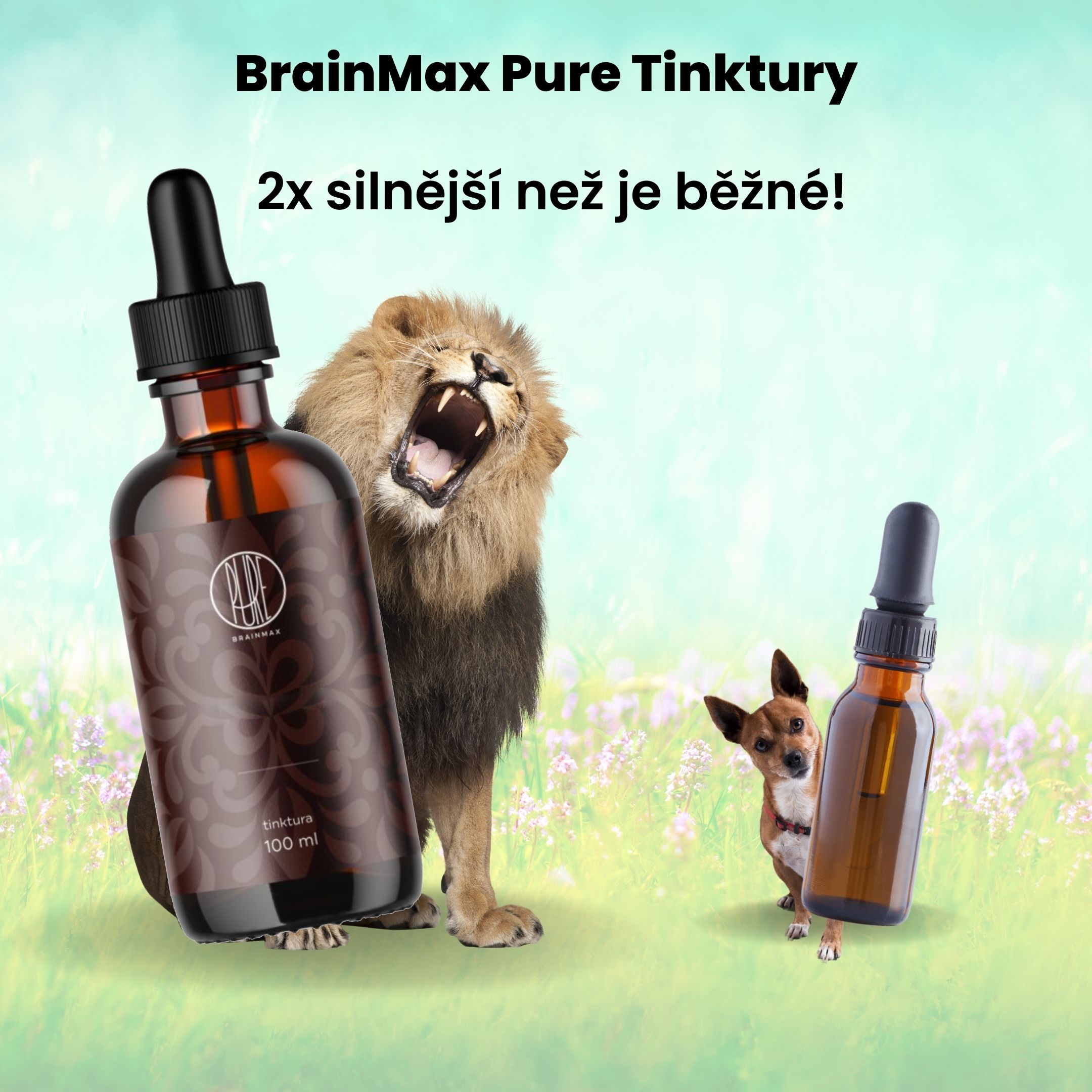 BrainMax Pure Maitake tinktura 1:2, 100 ml Obrázek