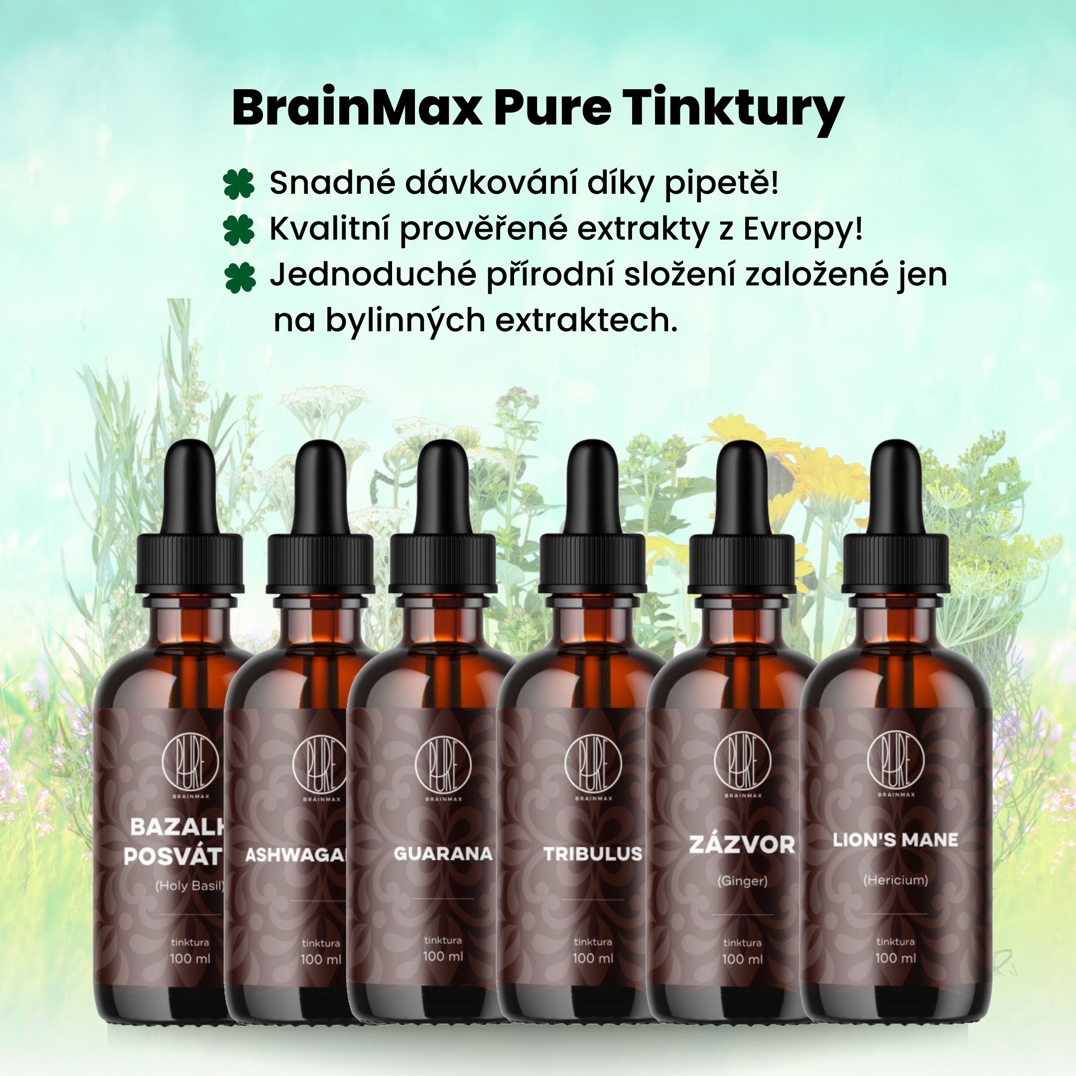 BrainMax Pure Maitake tinktura 1:2, 100 ml Obrázek