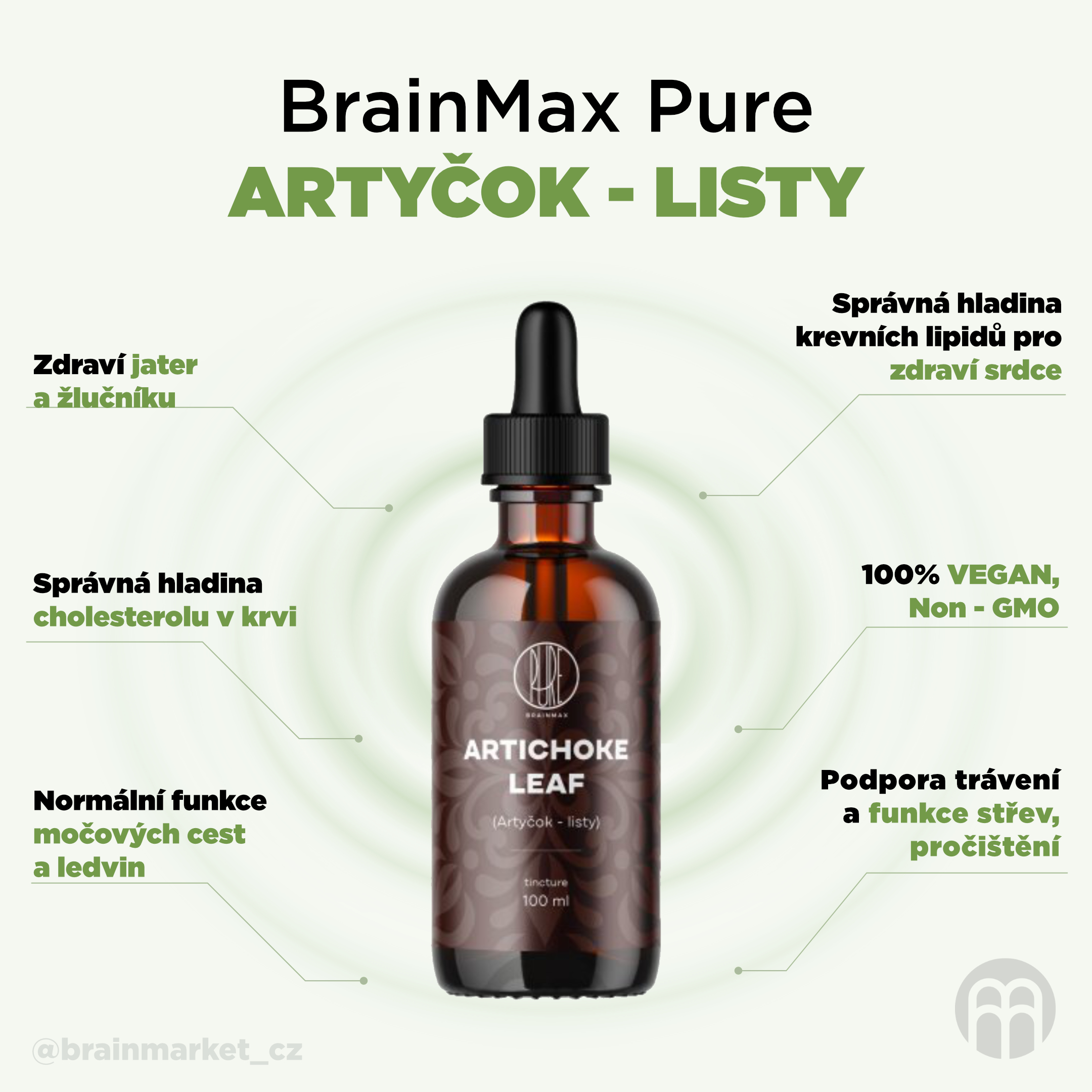 BrainMax Pure Artyčok listy tinktura 1:3, 100 ml Obrázek