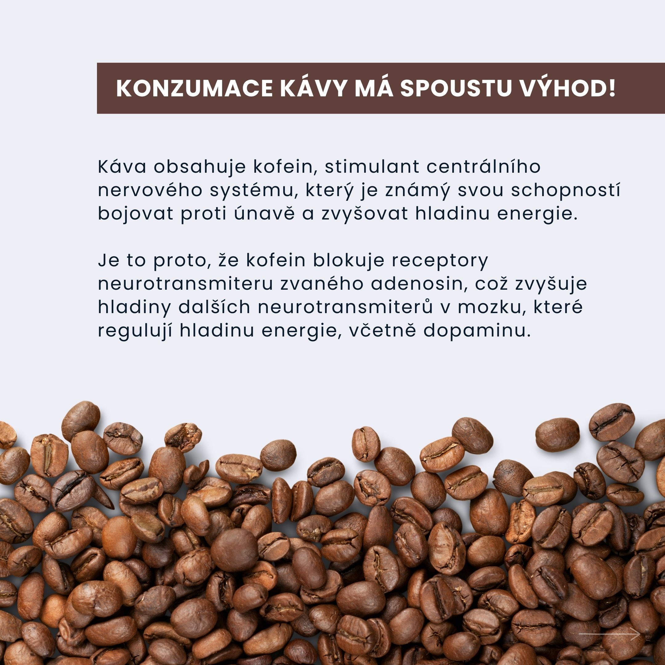 BrainMax Pure láhev na přípravu Cold Brew, 750 ml - světle hnědá Obrázek