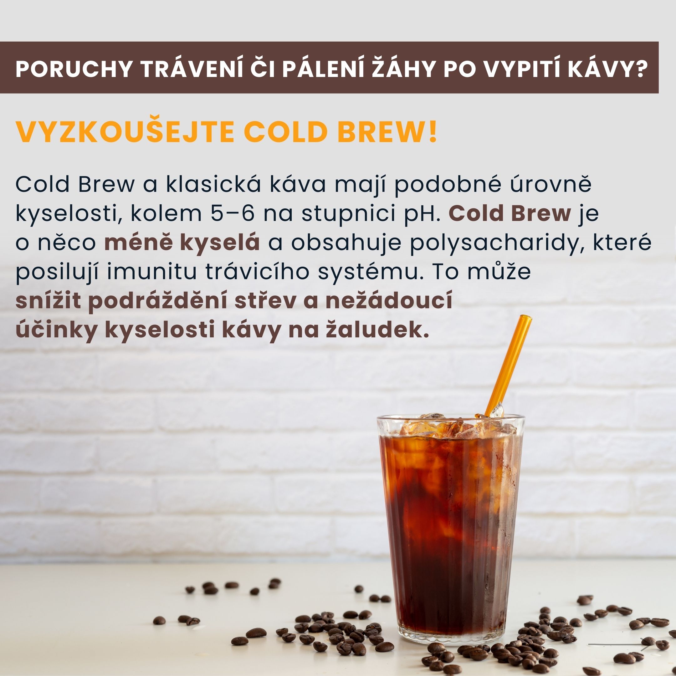BrainMax Pure láhev na přípravu Cold Brew, 750 ml - světle hnědá Obrázek