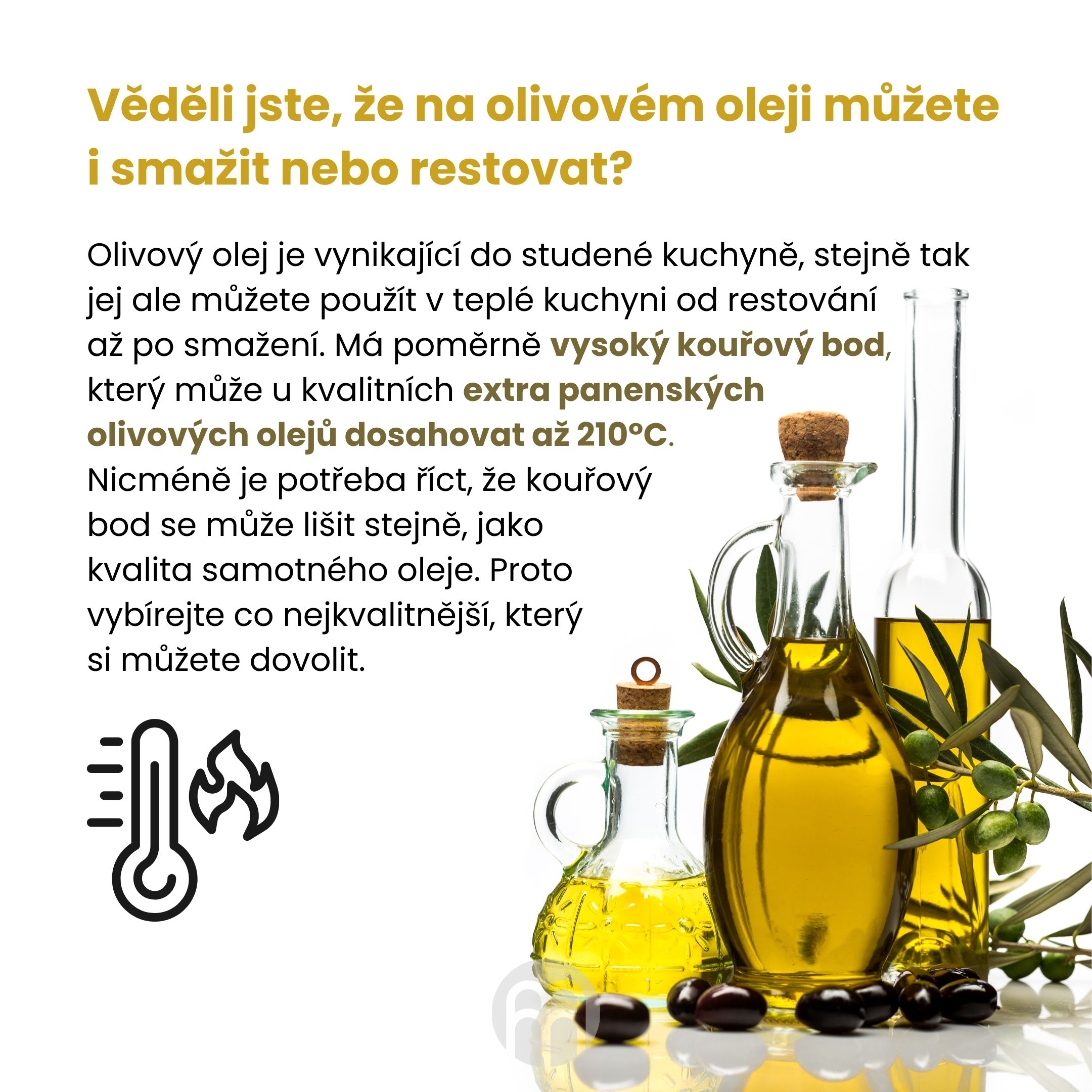 BrainMax Pure Extra panenský olivový olej Picual, BIO, 500 ml Obrázek