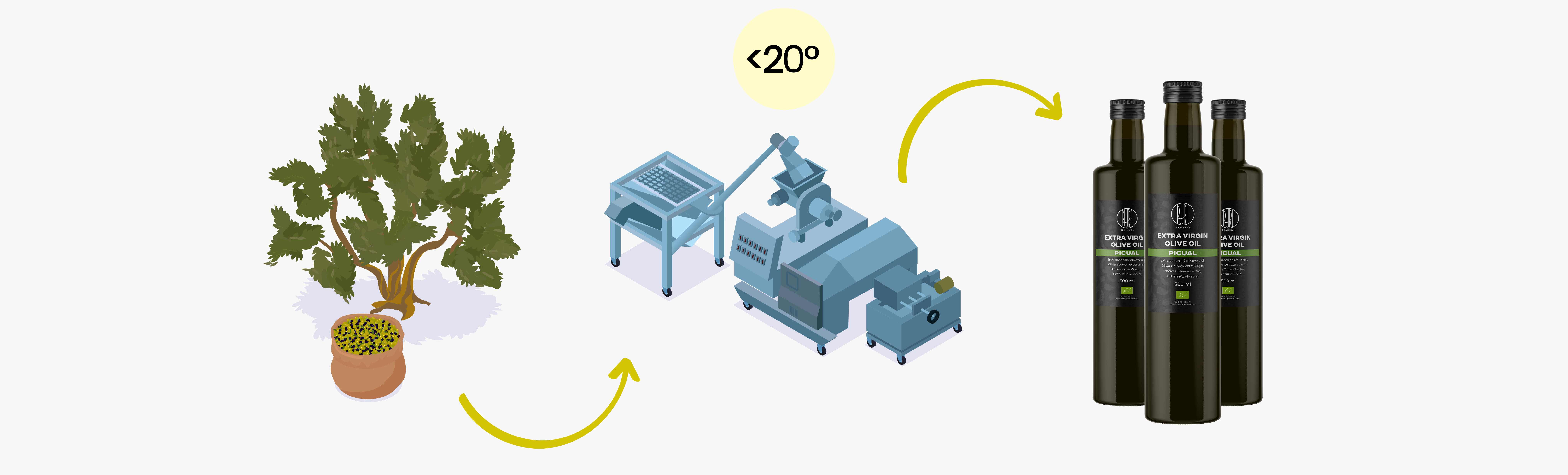 BrainMax Pure Extra panenský olivový olej Picual, BIO, 500 ml Obrázek