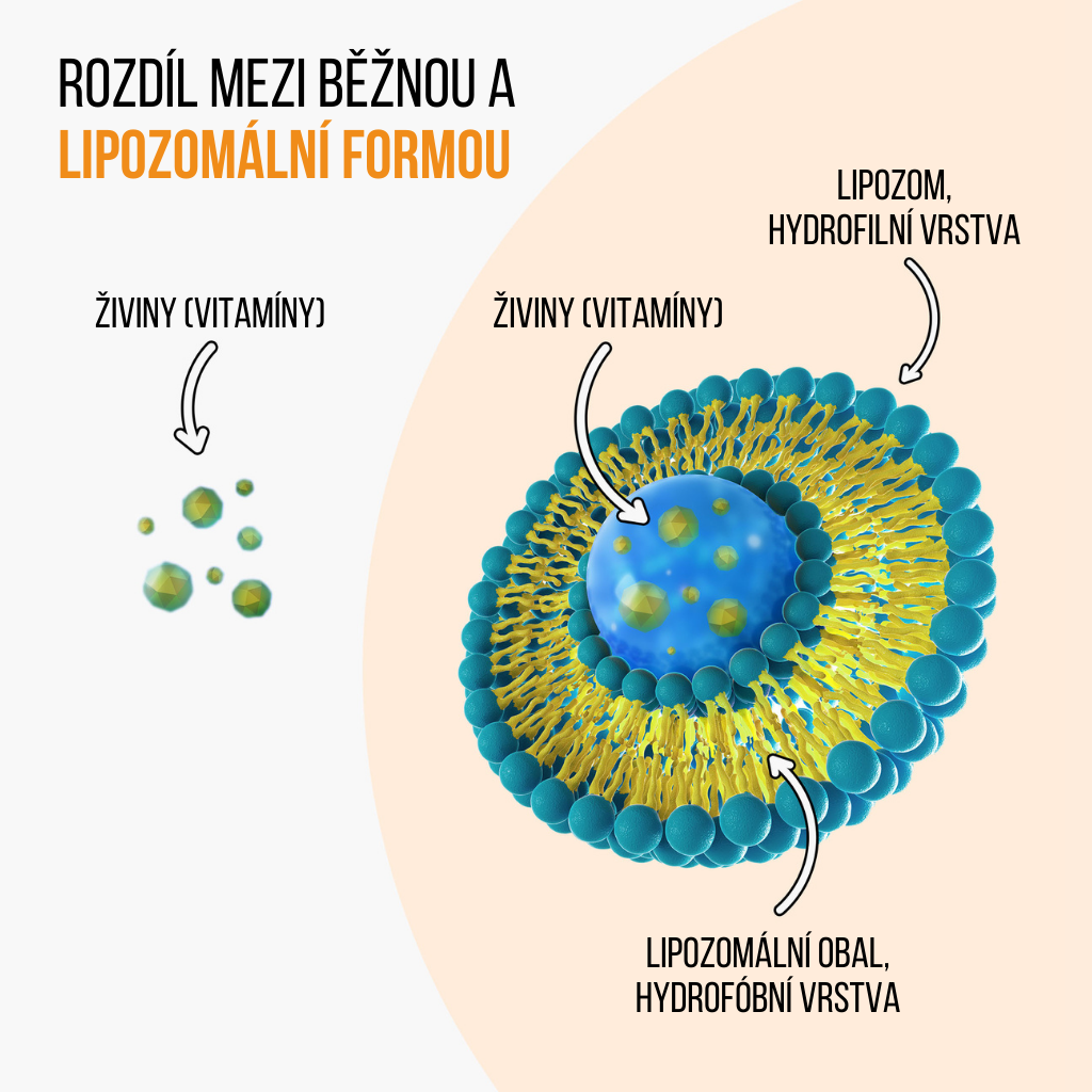 BrainMax IMMUNIZER! 60 rostlinných kapslí Obrázek