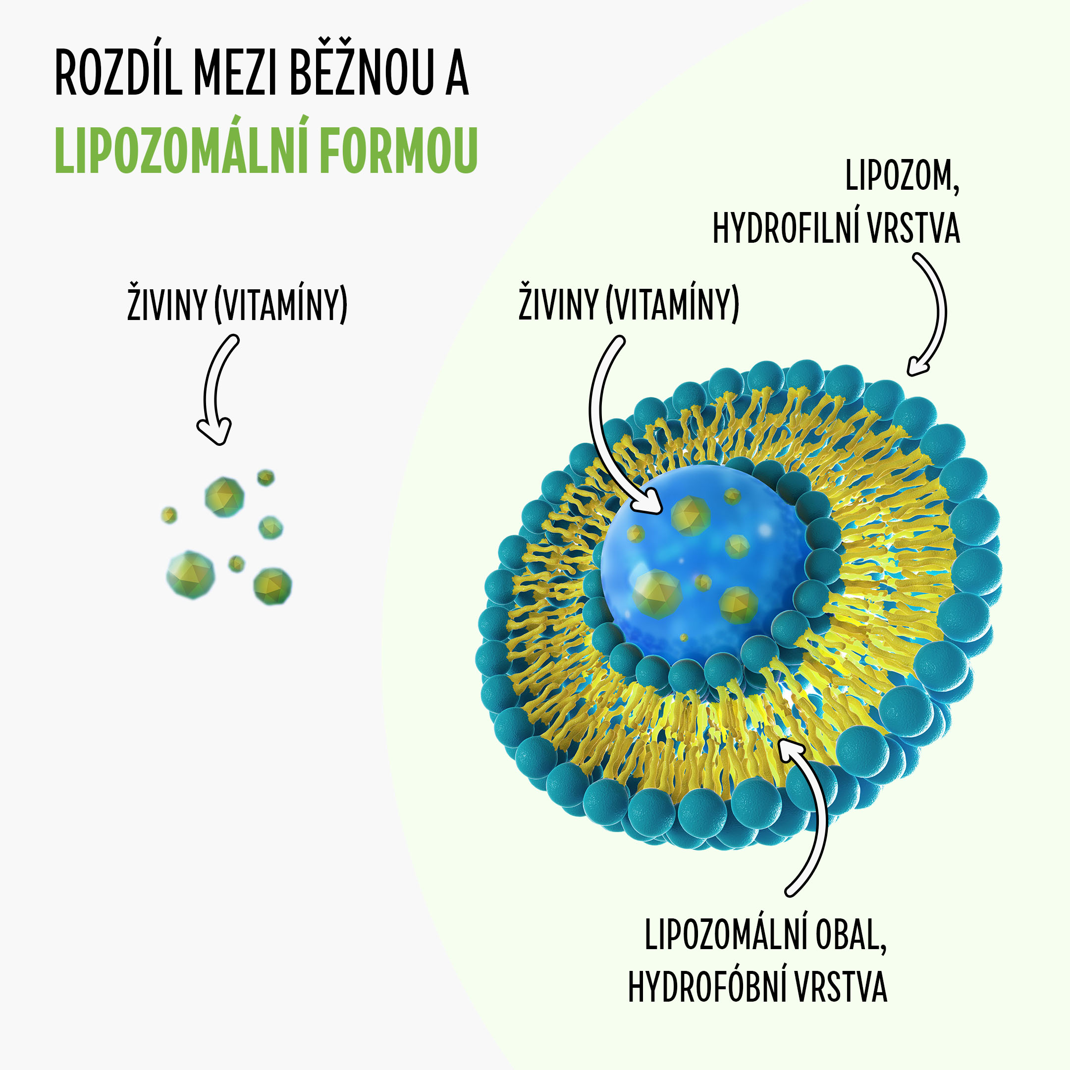 BrainMax Lipozomální komplex pro podporu imunity, ISENOLIC®, 200 ml Obrázek