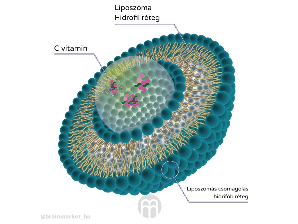 BrainMax Liquid Liposomal Vitamin C, Tekutý Lipozomální Vitamín C, 200 ml Obrázek
