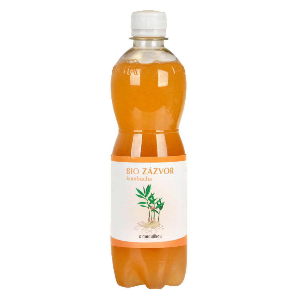 STEVIKOM - Kombucha zázvorová s meduňkou BIO, 500ml Obrázek