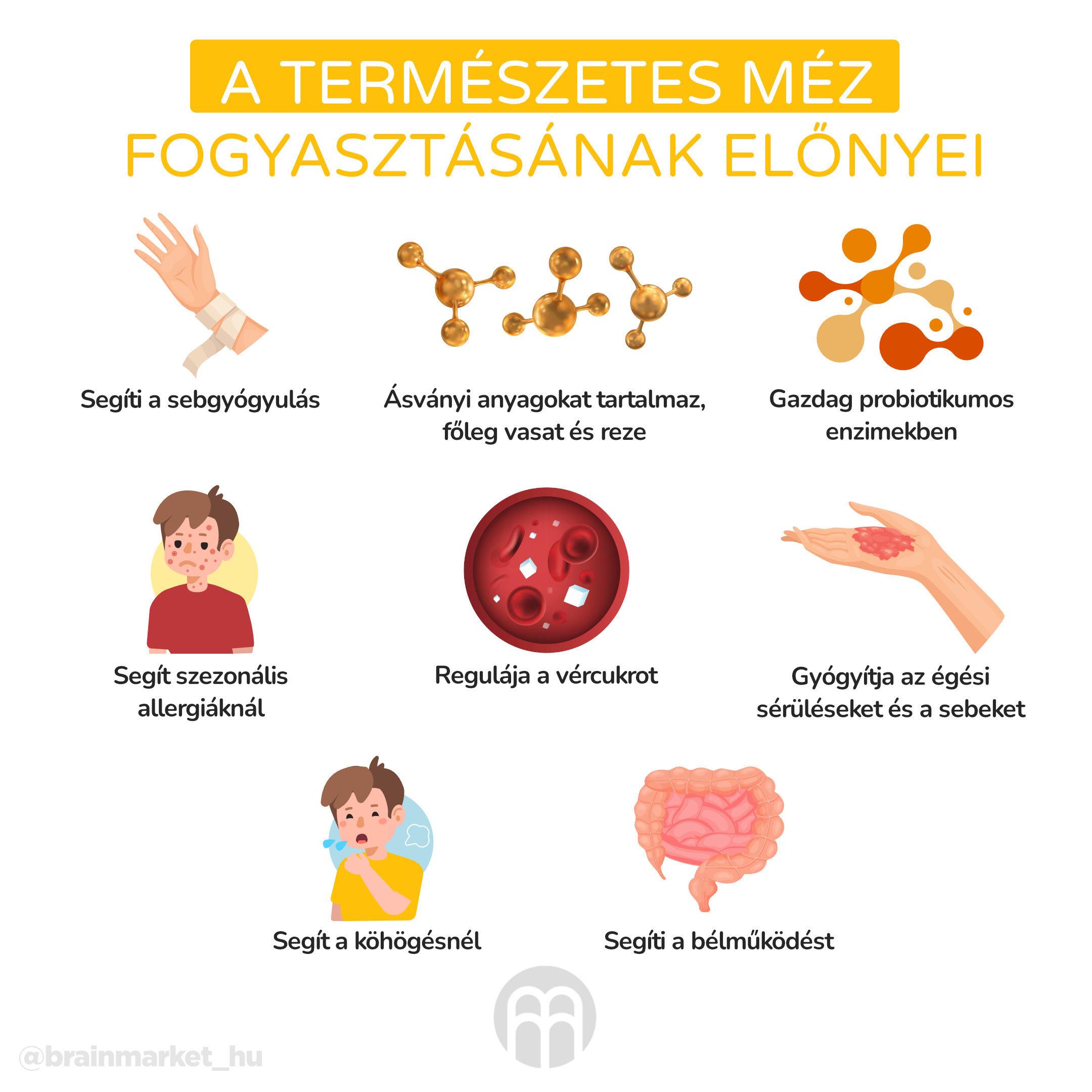 BrainMax Pure Med medovicový lesní, 950 g Obrázek