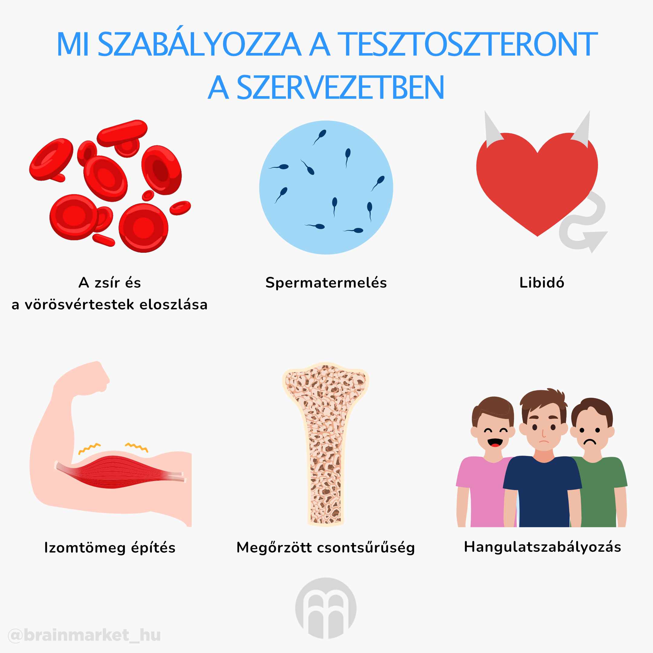 BrainMax Testoboss, 100 rostlinných kapslí Obrázek