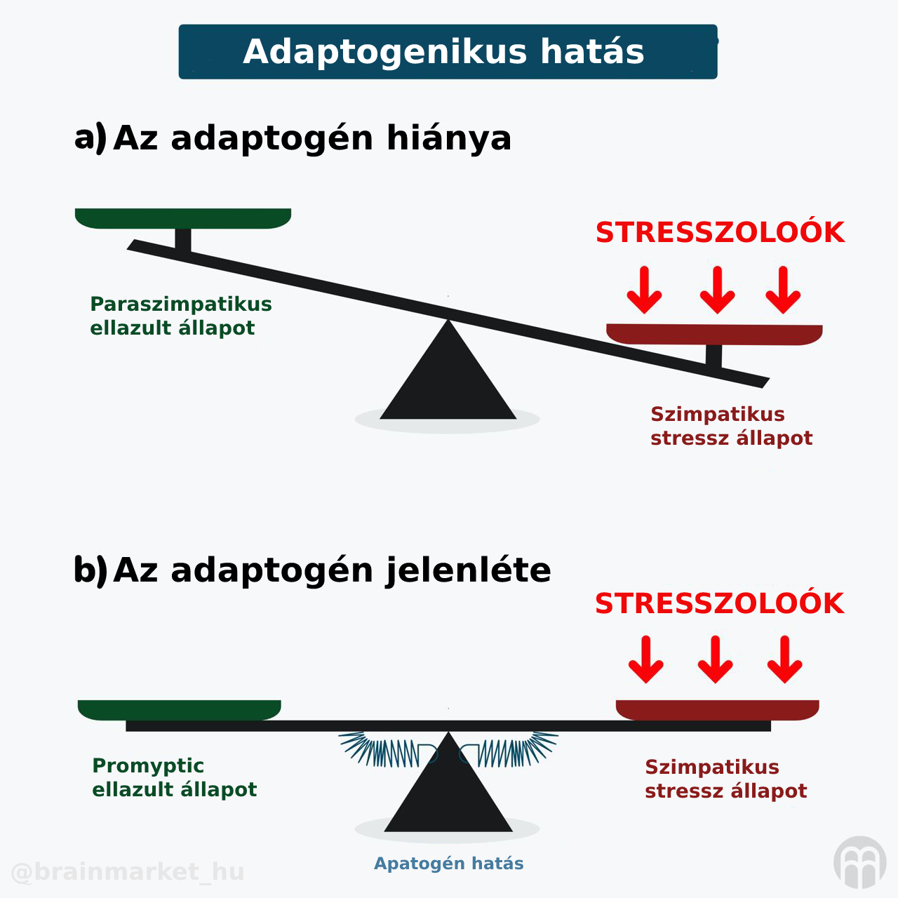 BrainMax Testoboss, 100 rostlinných kapslí Obrázek