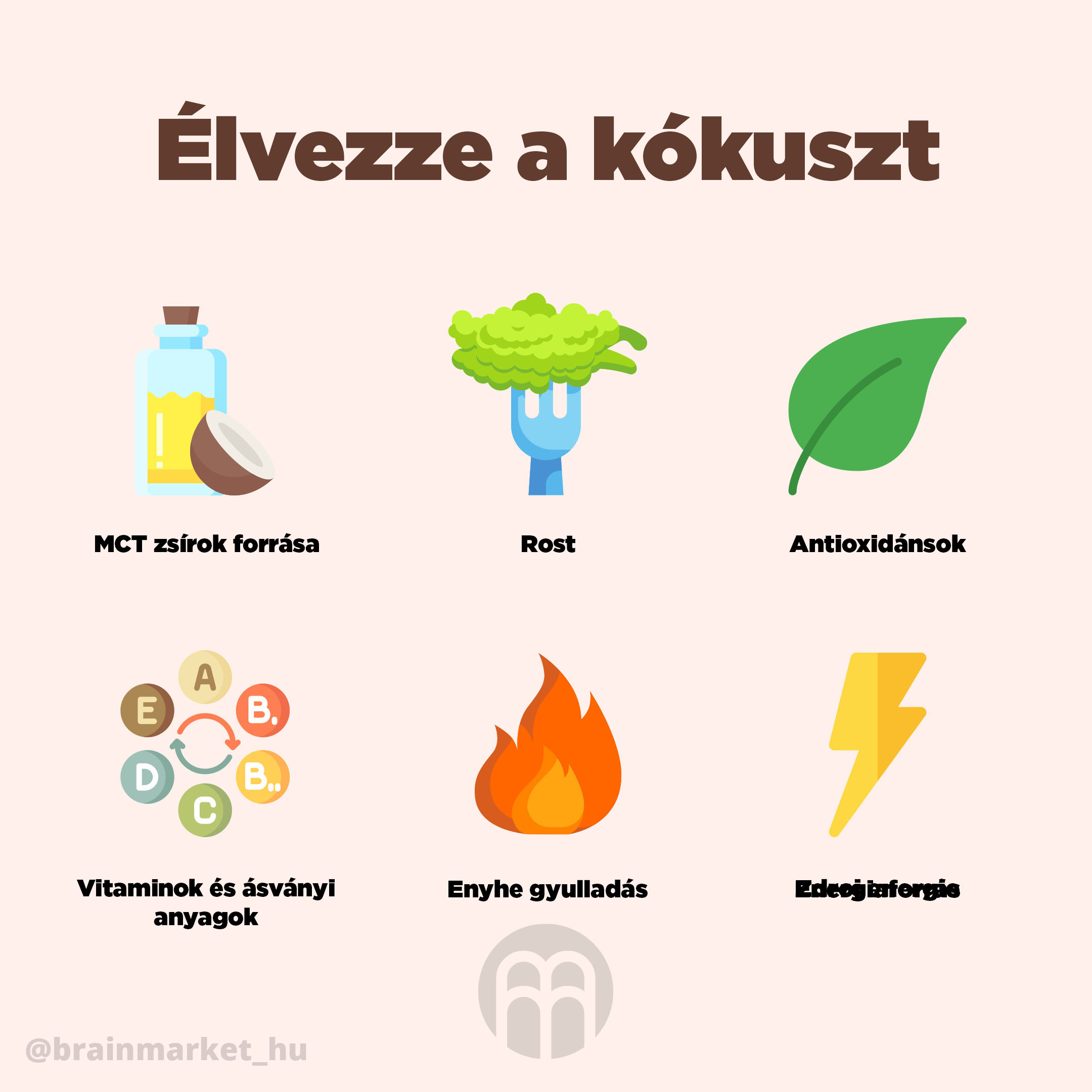 BrainMax Pure Kokosová mouka BIO, 1 kg Obrázek