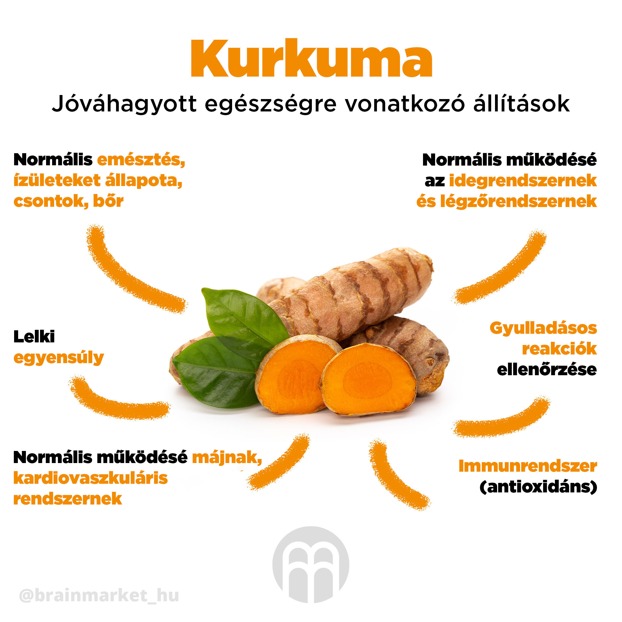 BrainMax Pure Kurkuma BIO prášek, 100 g Obrázek